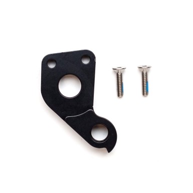 303 RDH Derailleur Hanger