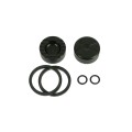 Kit de pistones para pinza Elixir 1, 3, 5, 7, 9, CR, R, XO, XX