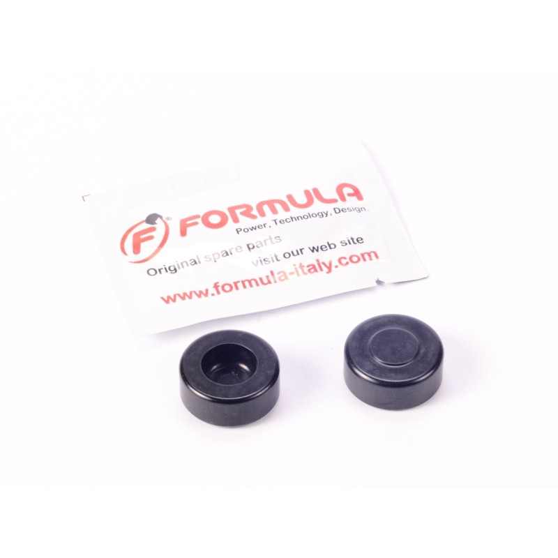 Kit de pistones para pinza RX (sin juntas)