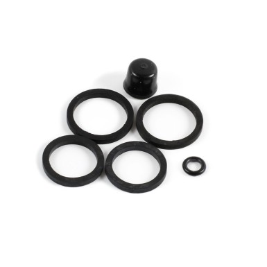 Complete seal kit for M4 caliper (2002)