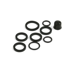 Complete seal kit for Mono M6 caliper