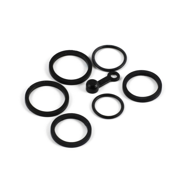 Complete seal kit for V4 caliper