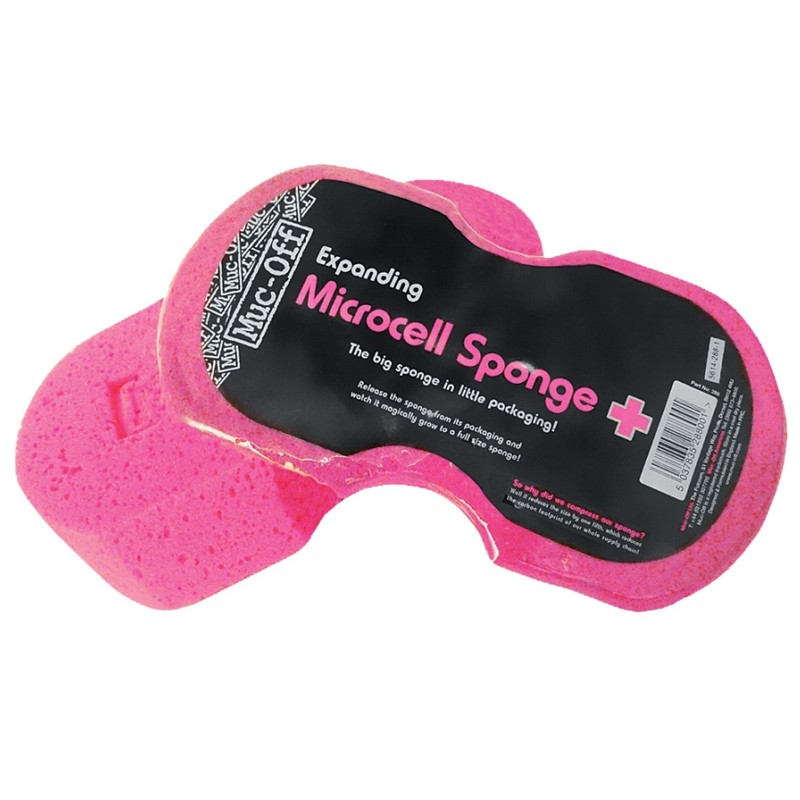 Esponja