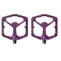 Stamp 7 Pedals Purple
