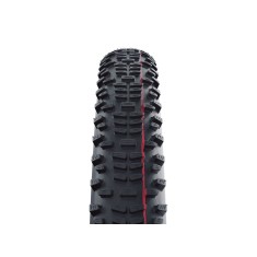 Racing Ralph Evolution Tubeless Easy 29"