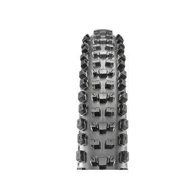 Neumático Dissector Tubeless Ready 29"
