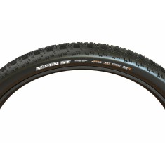 Neumático Aspen ST Tubeless Ready 29"