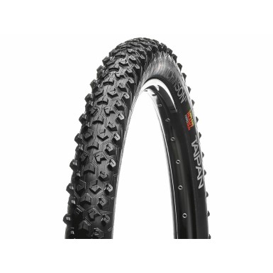 Taïpan Tubeless Ready Hardskin Tire 29"