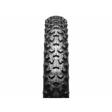 Pneu Taïpan Tubeless Ready Hardskin 29"