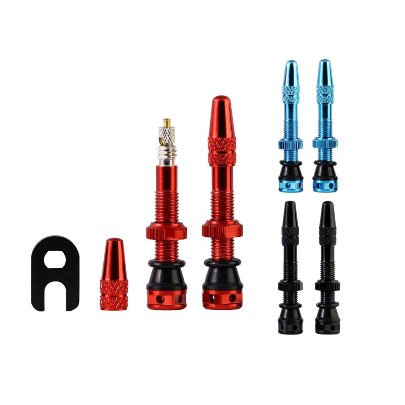 Válvulas tubeless (X2) 35 mm MKII