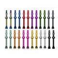 Válvulas tubeless V2 60 mm (X2)