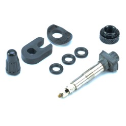 Válvula tubeless estándar