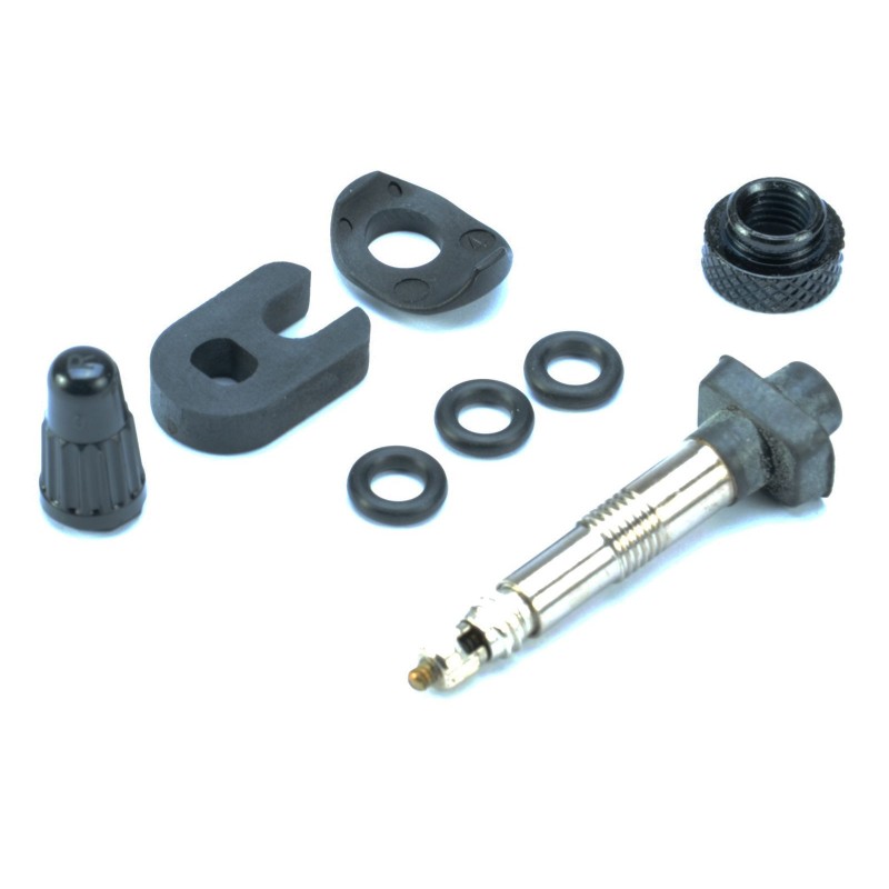 Valve tubeless standard