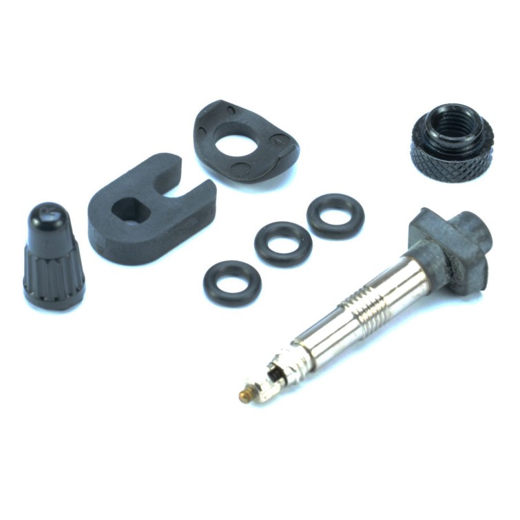 Valve tubeless standard