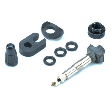Standard Tubeless Valve