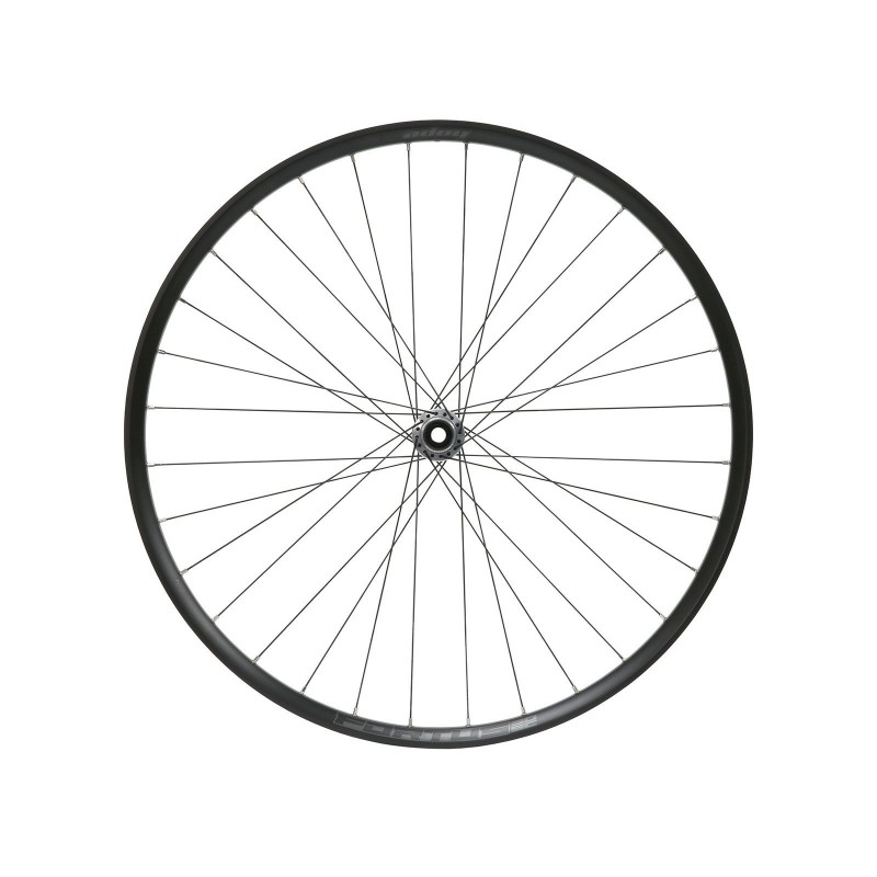 Rueda delantera Fortus 30 SC Pro 5 Plata 29''