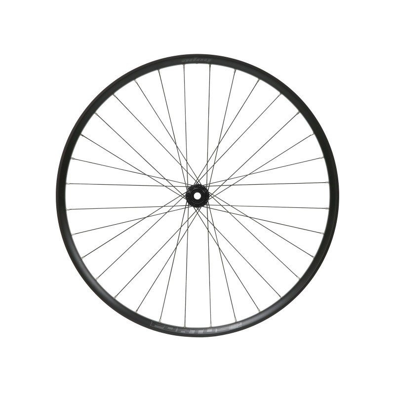Rueda delantera Fortus 30 SC Pro 5 Negro 29'' Boost