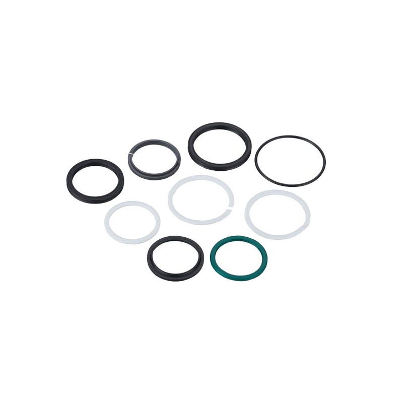 Shock Seal Kit for Monarch and Monarch Plus 2011-2013