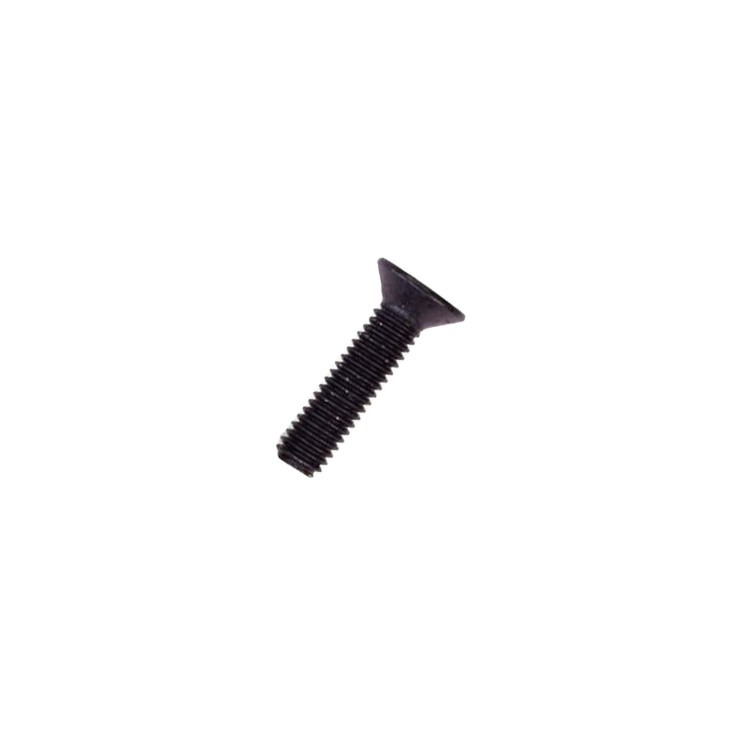 M3x12 mm Screw for Float X / DHX Shock