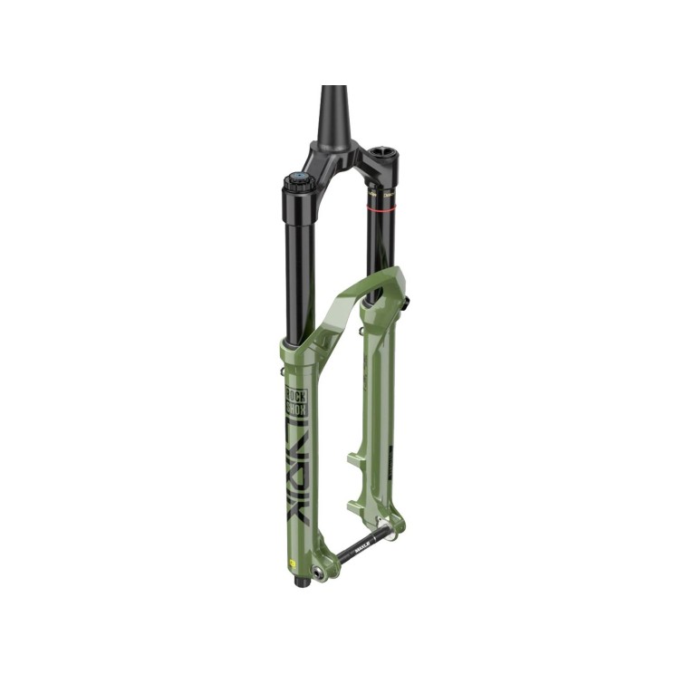Fourche Lyrik Ultimate RC2 Charger 3 Debonair + 29" - Vert