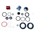 Kit de mantenimiento 200 h/1 año para Pike 35 mm C1 - Select+/ Ultimate