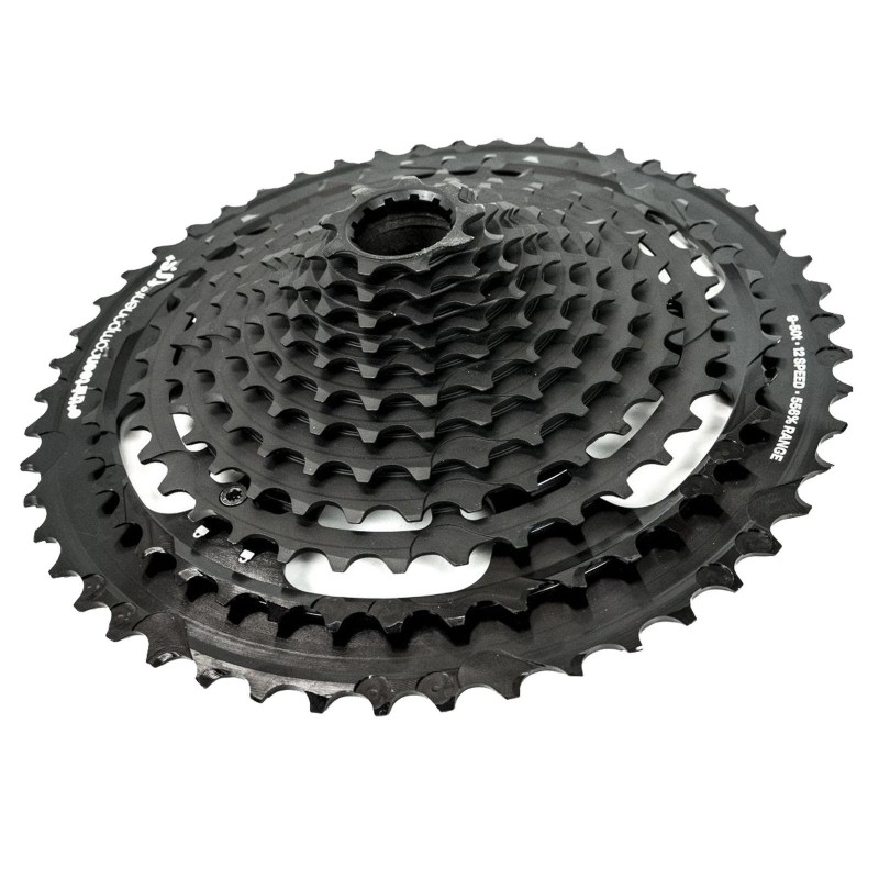 TRS+ 12-speed cassette