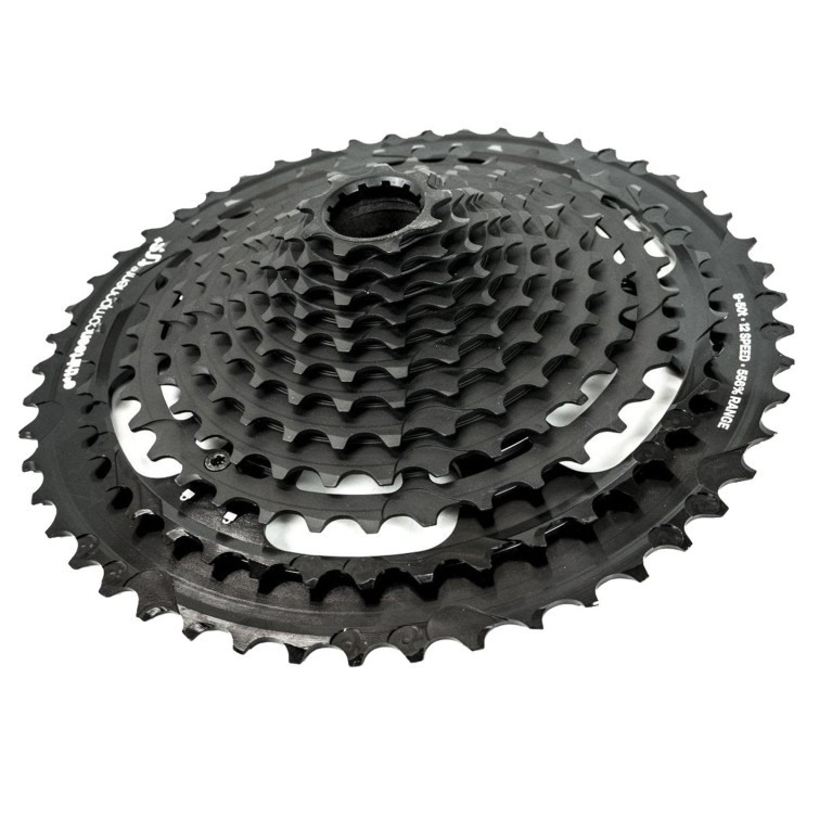 TRS+ 12-speed cassette