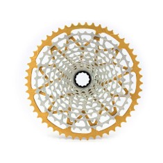 XD 12-speed cassette Gold