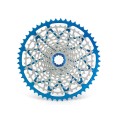Standard HG 12-Speed Cassette Blue