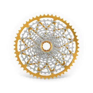 Standard HG 12-Speed Cassette Gold