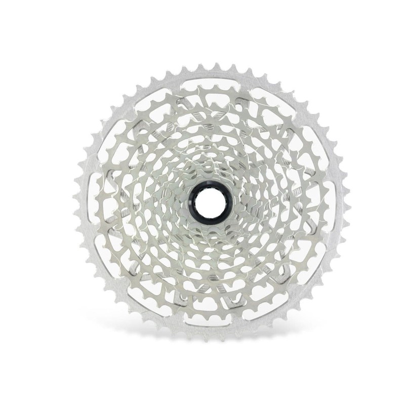 Cassette Microspline de 12 velocidades plateado