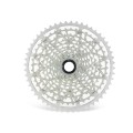 Cassette Microspline de 12 velocidades plateado