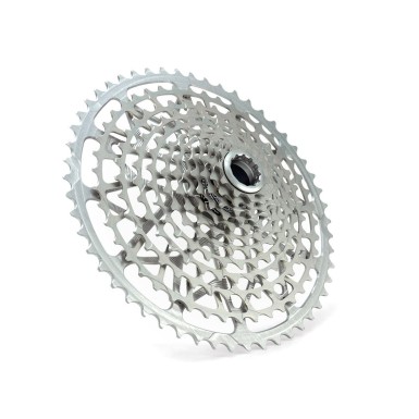 Cassette Microspline de 12 velocidades plateado