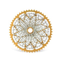 Microspline 12-Speed Cassette Gold