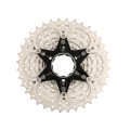 Cassette MS1 de 10 velocidades (11-36 dientes)