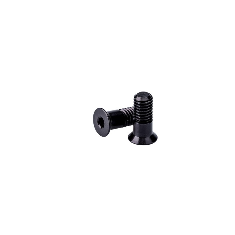 Kit de tornillos para roldanas de cambio de 11/12 velocidades