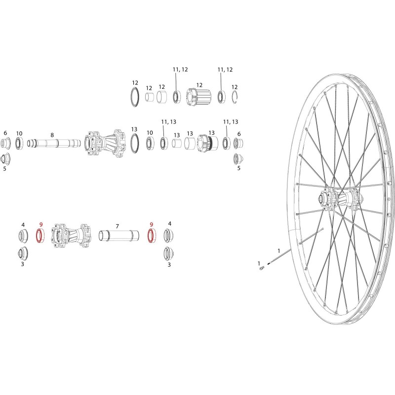 Rodamientos para rueda delantera Rise 60, Roam 30 / 40, Rail 40