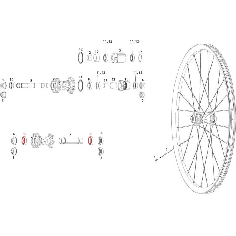 Rodamientos para rueda delantera Rise 60, Roam 30 / 40, Rail 40