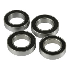 Bearings Kit for PRO 5 Rear Hub
