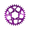 Plateau Retainer Ring R22 Spiderless Boost - Violet