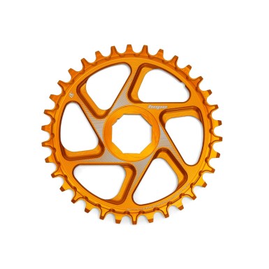 R22 Spiderless E-Bike Brose Retainer Ring - Orange