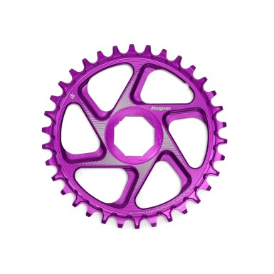 R22 Spiderless E-Bike Brose Retainer Ring - Purple