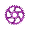 R22 Spiderless E-Bike Brose Retainer Ring - Purple