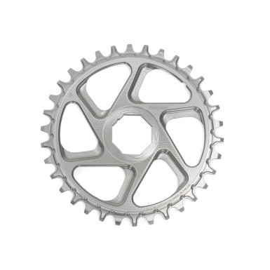 R22 Spiderless E-Bike Brose Retainer Ring - Silver