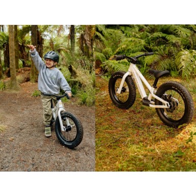 Draisienne Tout Terrain Dirt Hero V2