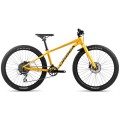 MX 24" Team Disc  - Mango Black