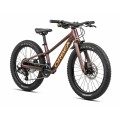 Kids' Mountain Bike Kimu 20 H20 Metallic Sun Set