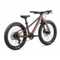 Kids' Mountain Bike Kimu 20 H20 Metallic Sun Set