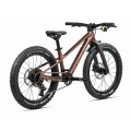 Kids' Mountain Bike Kimu 20 H10 Metallic Sun Set
