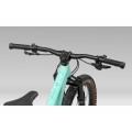 Kimu 27 H10 Kids' Mountain Bike Aloha Green